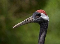 _IMG0251310716